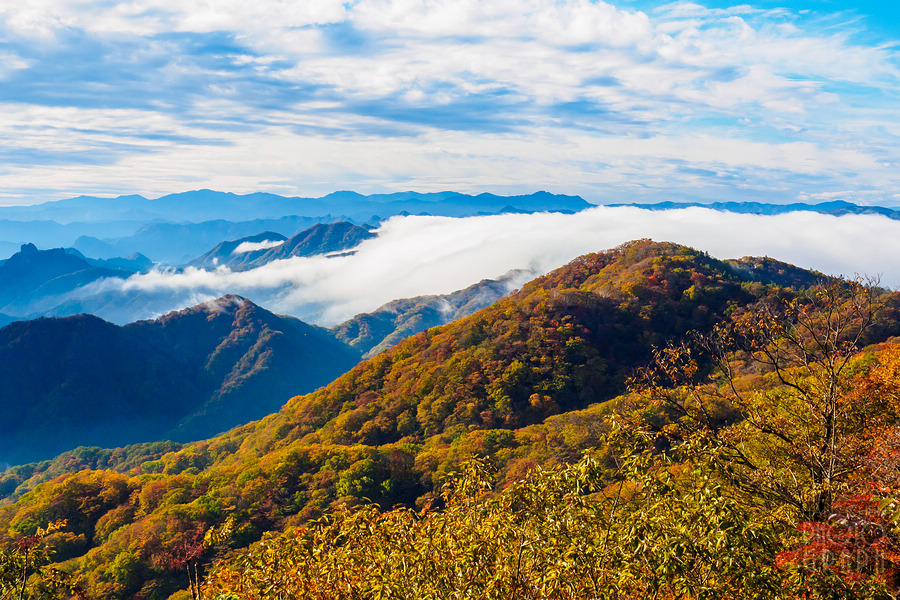 碓冰峠見晴台